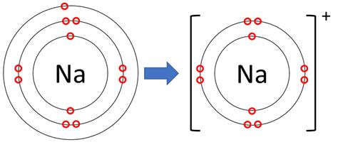 electron dot structure of sodium|electronic configuration of sodium ion.